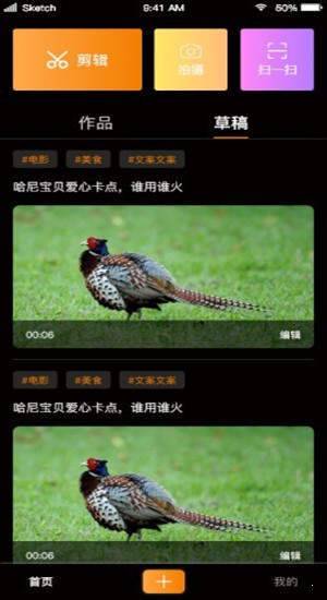 星顽半
