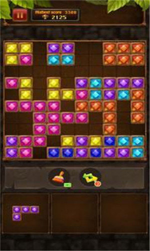Block Puzzle Jungle（方块丛林宝石红包版）