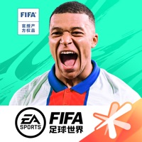 fifa足球世界比赛服