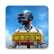 PUBG地铁逃生越南服（PUBG MOBILE）