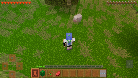 生存战争2（Survivalcraft 2）