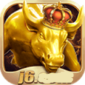 金牛国际j6