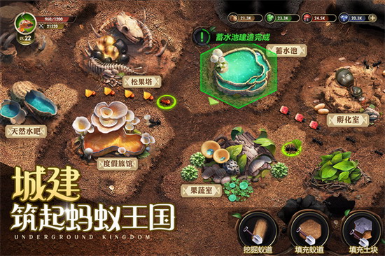 小小蚁国单机版