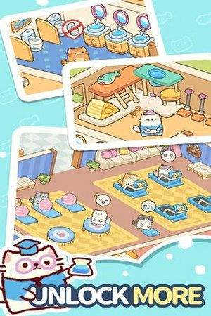 我的完美猫旅馆