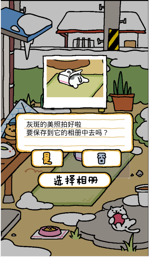 猫咪后院2025