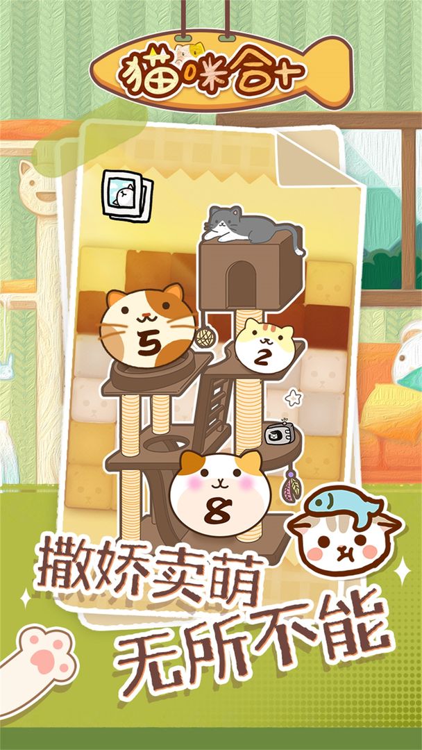 猫咪合十 猫咪合十