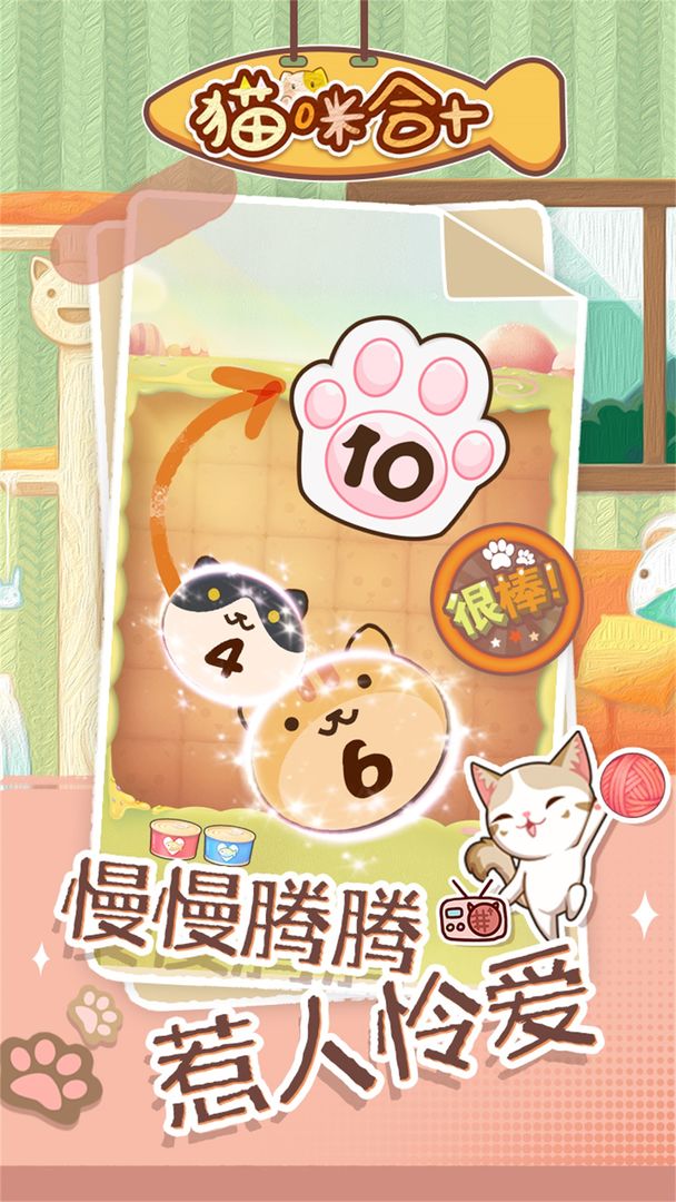 猫咪合十