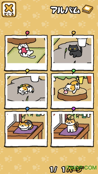 猫咪后院 猫咪后院