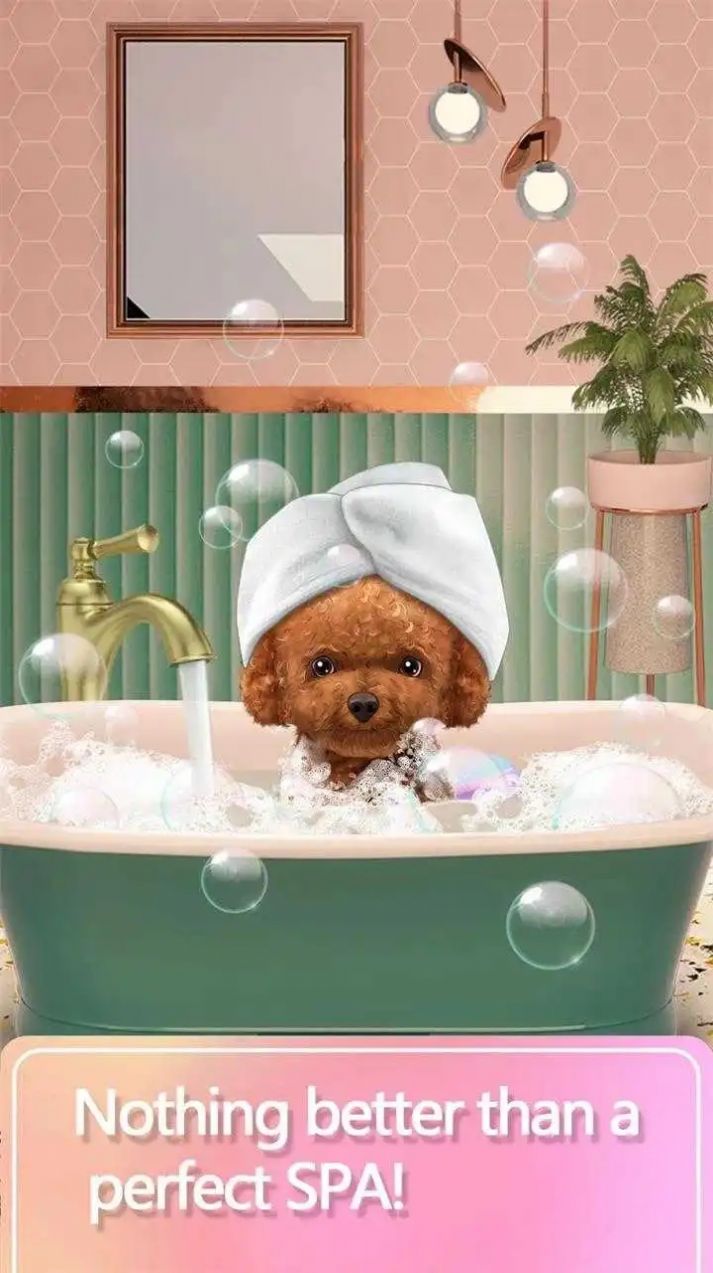 宠物化妆师（Pet Makeup Master）