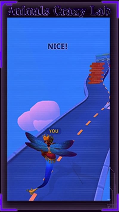 动物疯狂实验室官方版(Animals Crazy Lab)