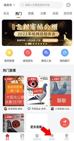 搜鸽天下 第1张图