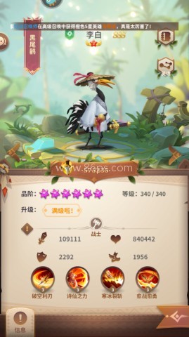 小鸟爱飞翔安卓版 第3张图