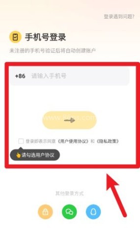 带带陪玩 第1张图