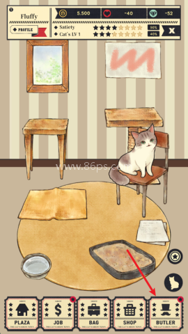 猫咪天堂 第2张图