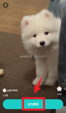 青藤壁纸 第3张图