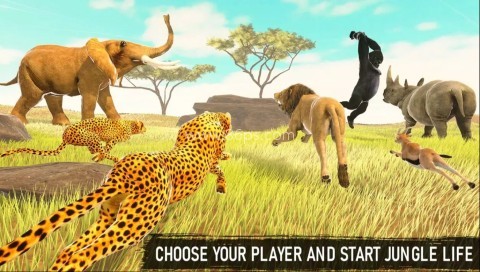 萨凡纳生活 第2张图