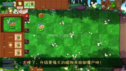 植物大战僵尸共生版 植物大战僵尸共生版