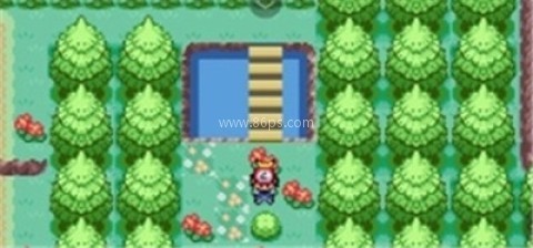 口袋妖怪格查尔 第6张图