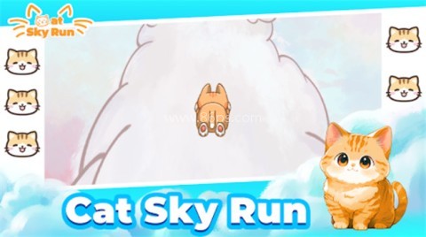 猫咪飞天跑