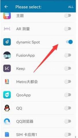 dynamicSpot灵动岛 第2张图