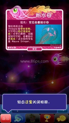 超级星鱼 第7张图