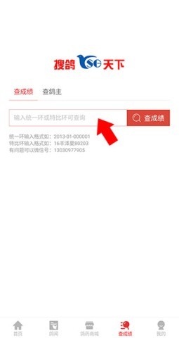 搜鸽天下 第2张图