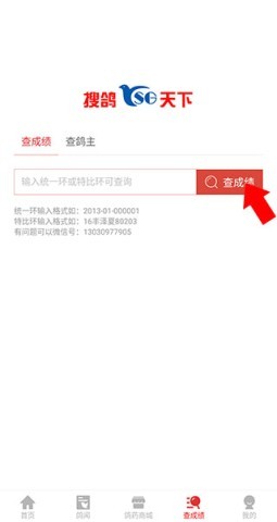 搜鸽天下 第3张图
