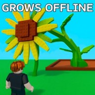 拉布布的种植花园