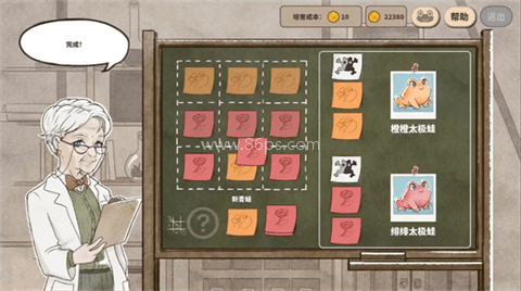 卡玛鲁青蛙庇护所