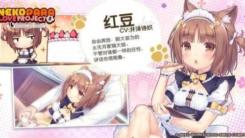 猫娘乐园2 第2张图