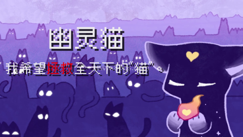 对人类过敏的猫