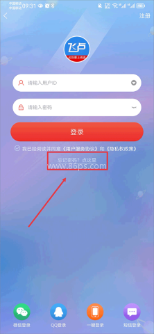 飞卢中文网 第2张图