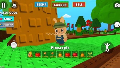 拉布布的种植花园