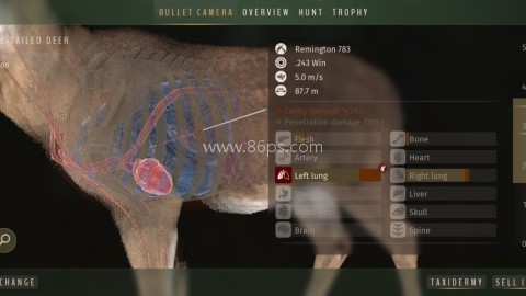 猎人之路狂野欧洲 第2张图