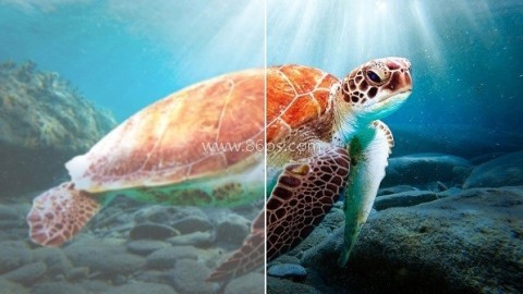 迅雷云盘 第3张图