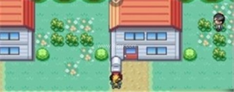 口袋妖怪格查尔 第5张图