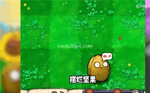 植物大战僵尸打工人版