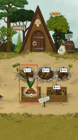 女巫的魔法商店 第4张图