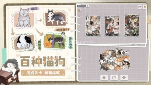 挤在一起的猫猫无限体力 第2张图