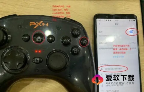 小鸡模拟器精简版 第3张图