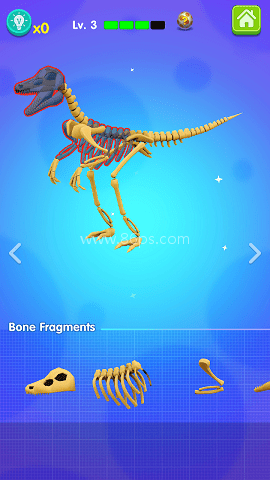 恐龙乐园 恐龙乐园