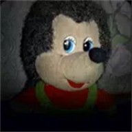 刺猬的五夜后宫