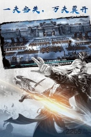 王权无双 第1张图