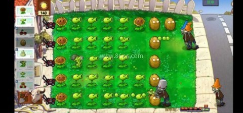植物大战僵尸新指导版