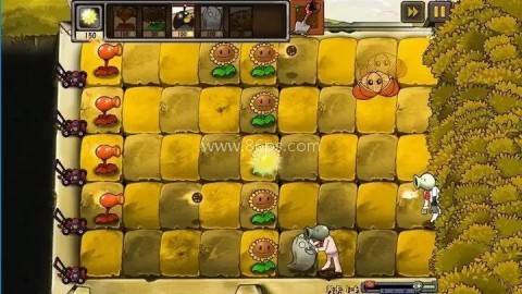 植物大战僵尸疯狂多元宇宙