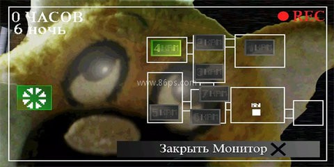 刺猬的五夜后宫