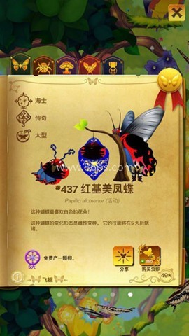 彩翼蝴蝶保护区 第2张图