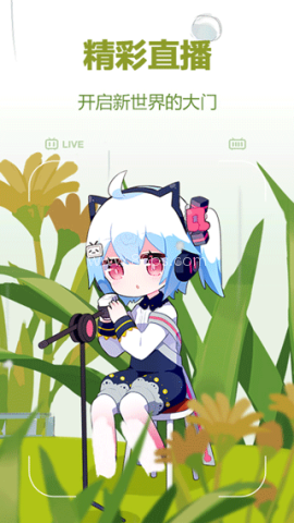 哔哩哔哩概念版