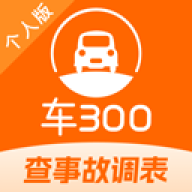 车300二手车估价