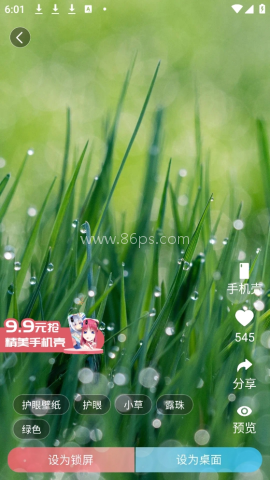 小鸟壁纸 第3张图